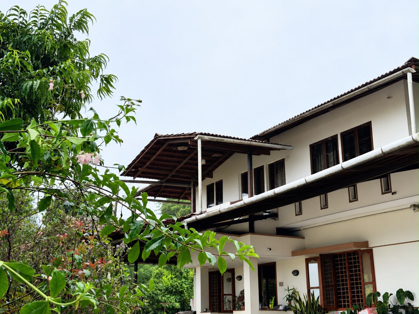 The Misty Bridge homestay house surrounded by trees and flowering plants