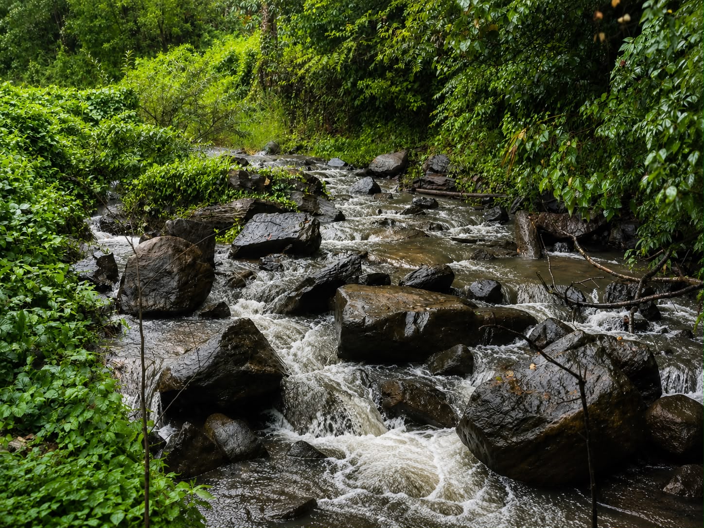 The stream running below the property